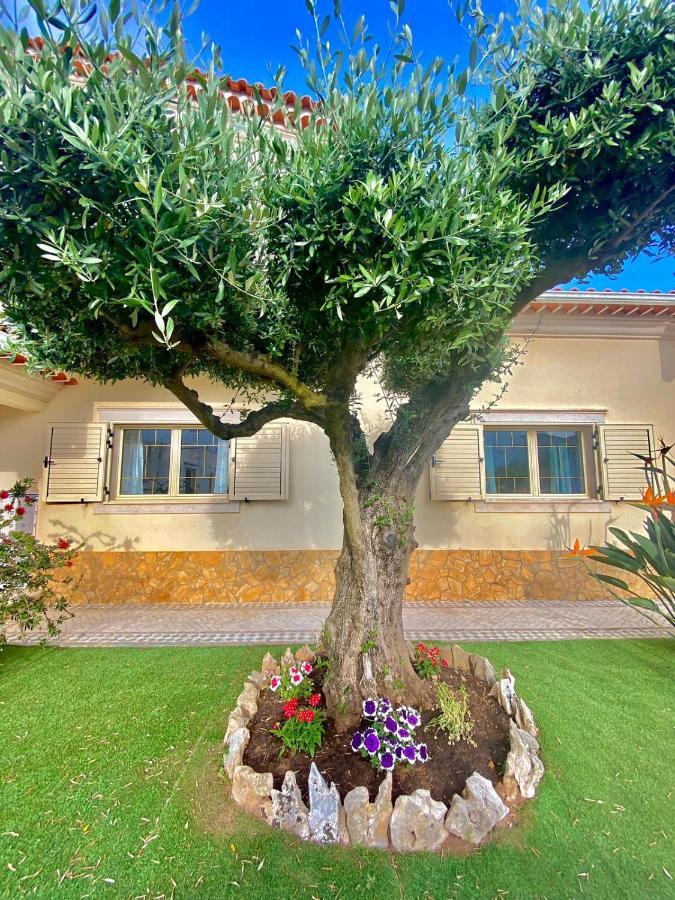 Casa Das Laranjeiras Alqueidão da Serra Zewnętrze zdjęcie